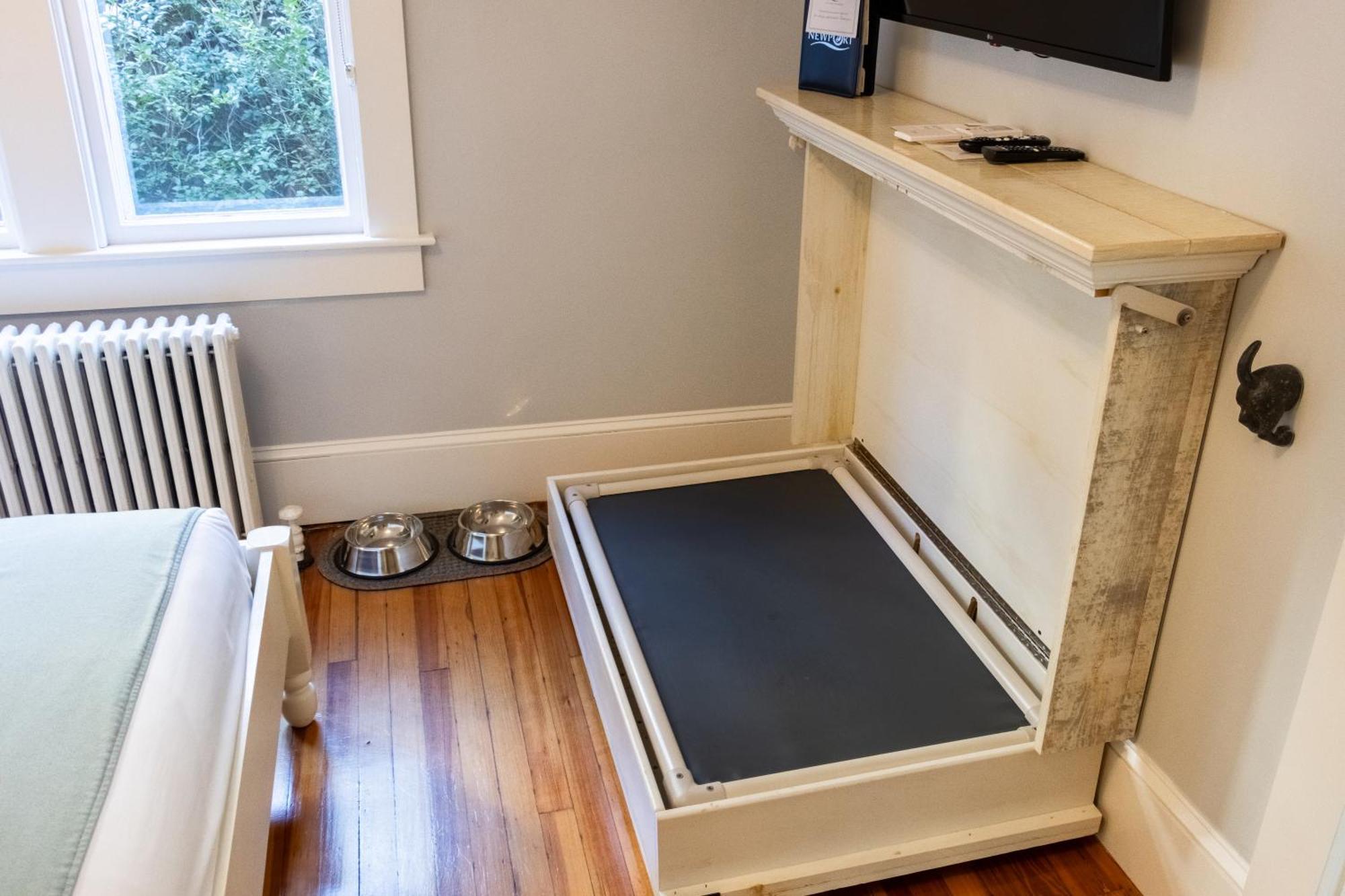 Paws On Pelham (Adults Only) Bed & Breakfast Newport Exterior foto