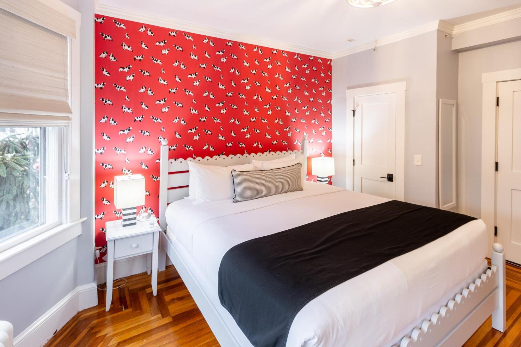 Paws On Pelham (Adults Only) Bed & Breakfast Newport Exterior foto